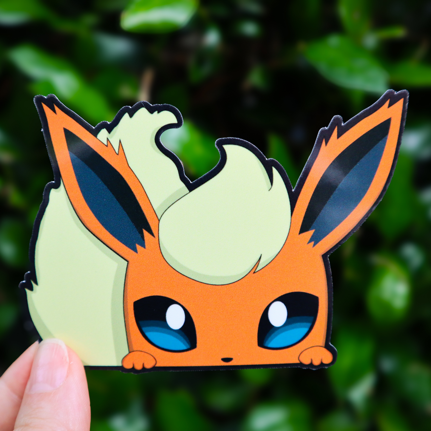 Orange Fox