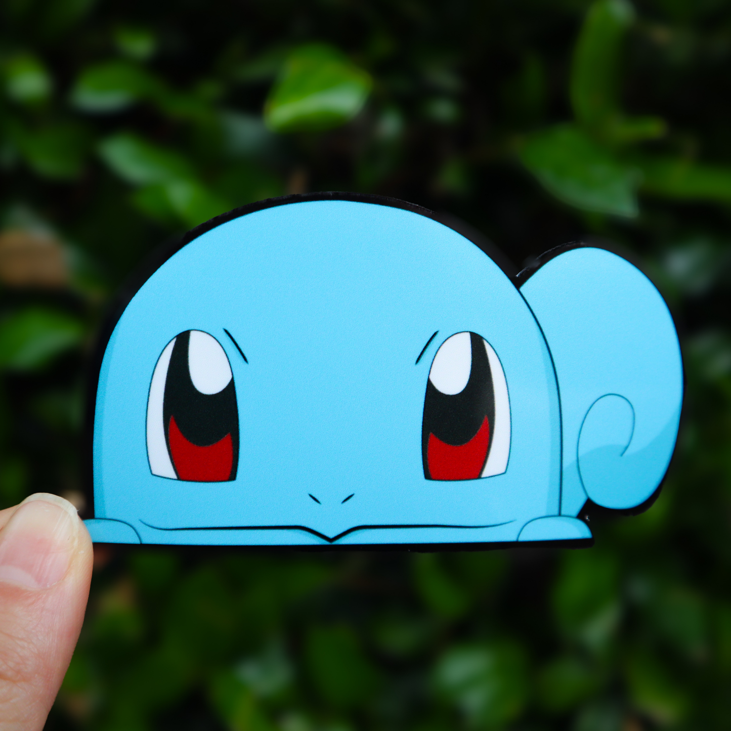 Water Turtle