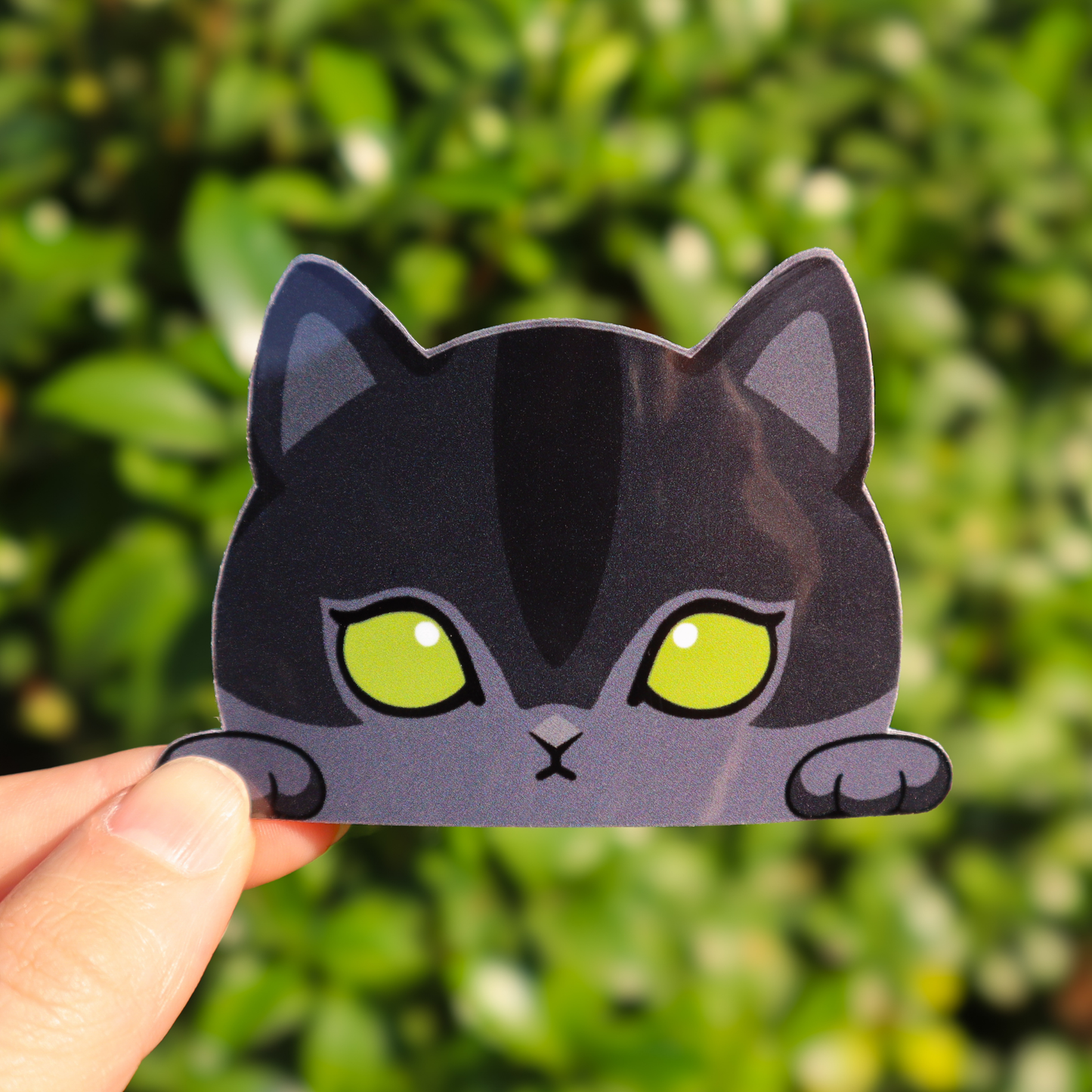 Black Cat Sticker