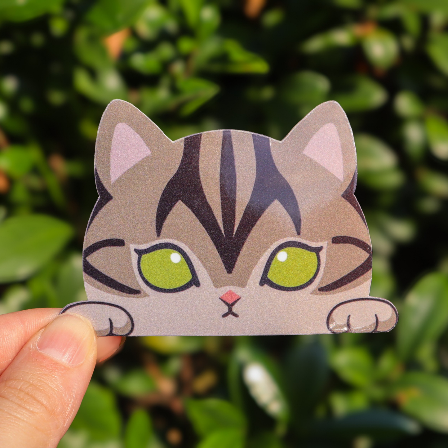 Brown/Black Tabby Cat Sticker