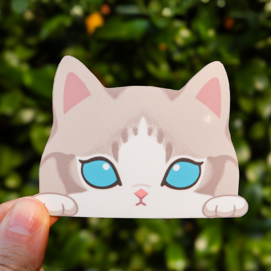 Ragdoll Cat Sticker