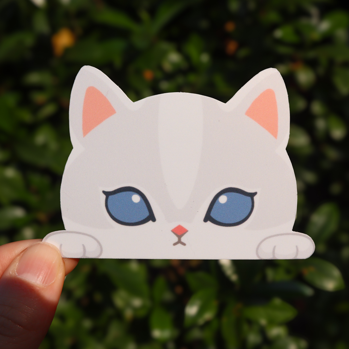 White Cat Sticker