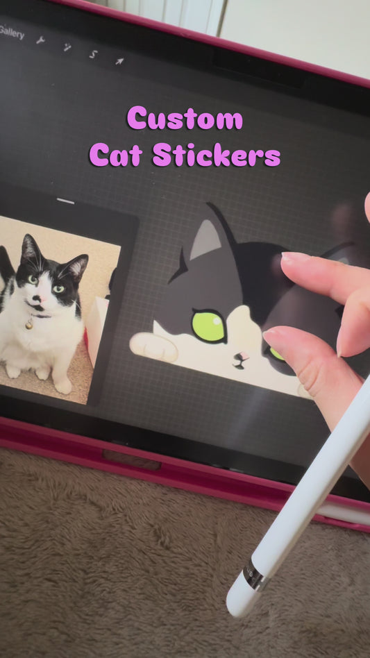 Custom Cat Design & Stickers (Please contact before ordering)